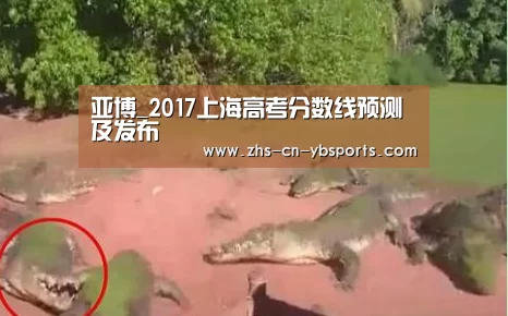 亚博体育